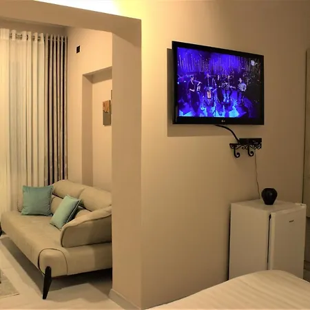 Apartment Bliri Executive
